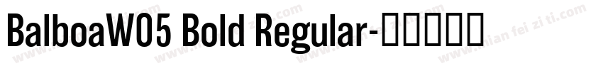 BalboaW05 Bold Regular字体转换